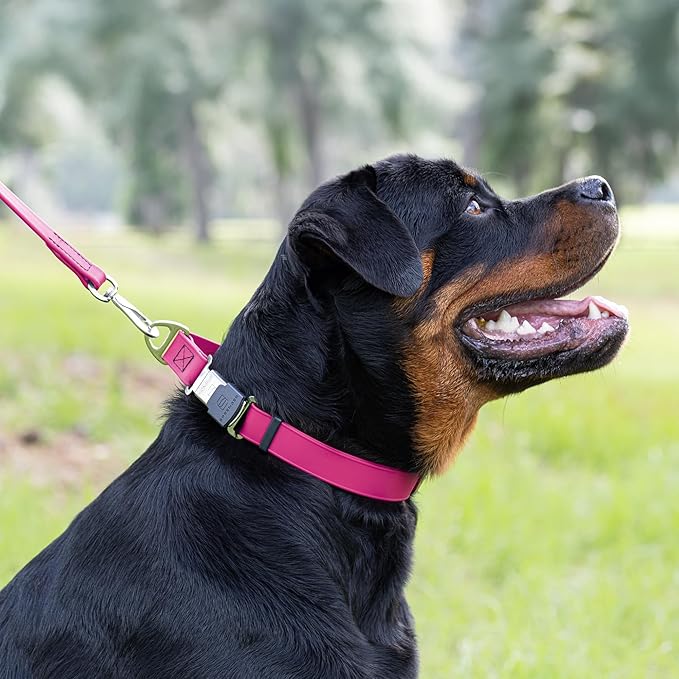 Dogline Biothane Waterproof Dog Collar with Herm Sprenger Black Stainless Steel Quick Release Buckle – Heavy Duty Tactical Durable Collar for Dogs – Comfortable, Safe Pet Collar W3/4" L12-19 Magenta-PurrikoPets