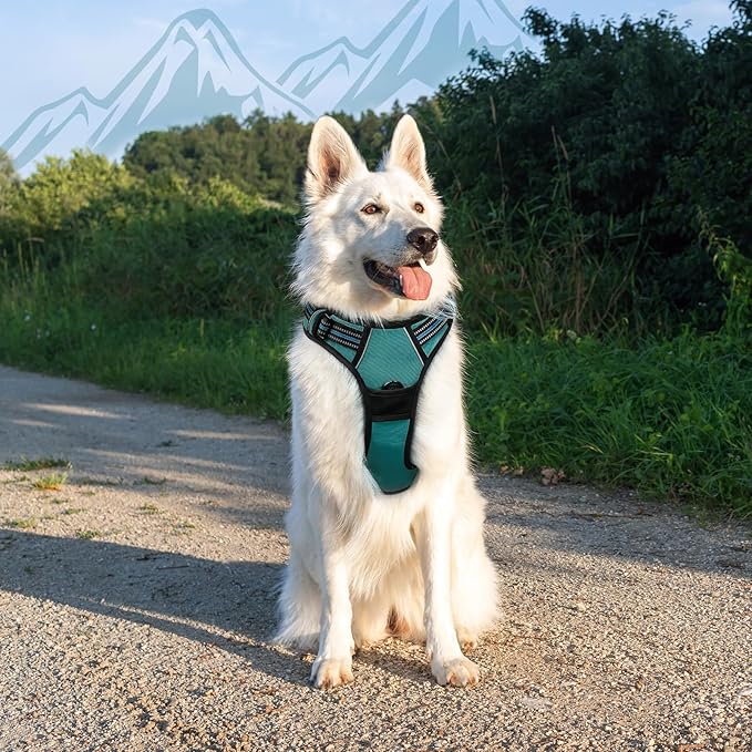 Eagloo Dog Harness Large Breed, No Pull Service Vest with Reflective Strips and Control Handle, Adjustable and Comfortable for Easy Walking, No Choke Pet Harness with 2 Metal Rings, Dark Green, XL-PurrikoPets