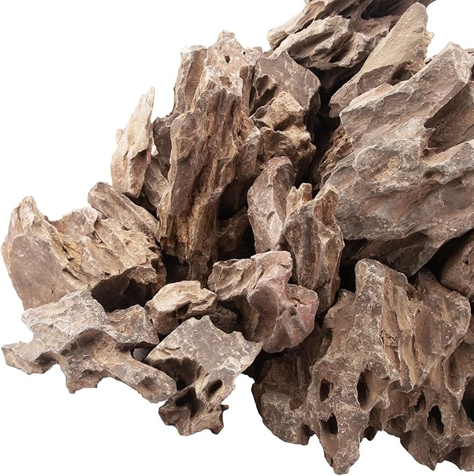 18.1 Pounds Natural Dragon Stones for Aquascaping Terrariums,Aquarium Dragon Ohko Rock (2.1 to 7.2 inch)-PurrikoPets