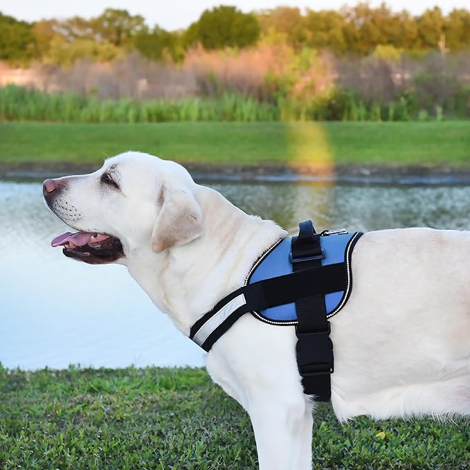 Dogline Dog Harness, Reflective No-Pull Adjustable Vest with Handle for Walking, Training, Breathable, No - Choke Harness for Small, Medium or Large Dogs Room for Patches Girth 33"-46" in Cyan Blue-PurrikoPets