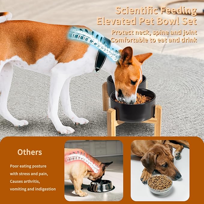 Elevated Ceramic Dog Bowl Set - Raised Dog Bowls with Non-Slip Bamboo Stand - Dog Food and Water Bowl Set - Double Dog Feeding Bowls - Suitable for Small and Medium Dogs - 28.74 OZ - 3.6 CUPS - 850 ML-PurrikoPets