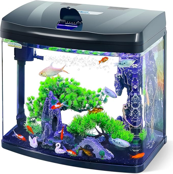 13 Gallon Glass Aquarium Starter Kit with Flip-Top Feeding Port for Betta Fish: Crystal Clear Viewing, Eco-Cycle Filtration, Air Pump, and LED Lighting-PurrikoPets
