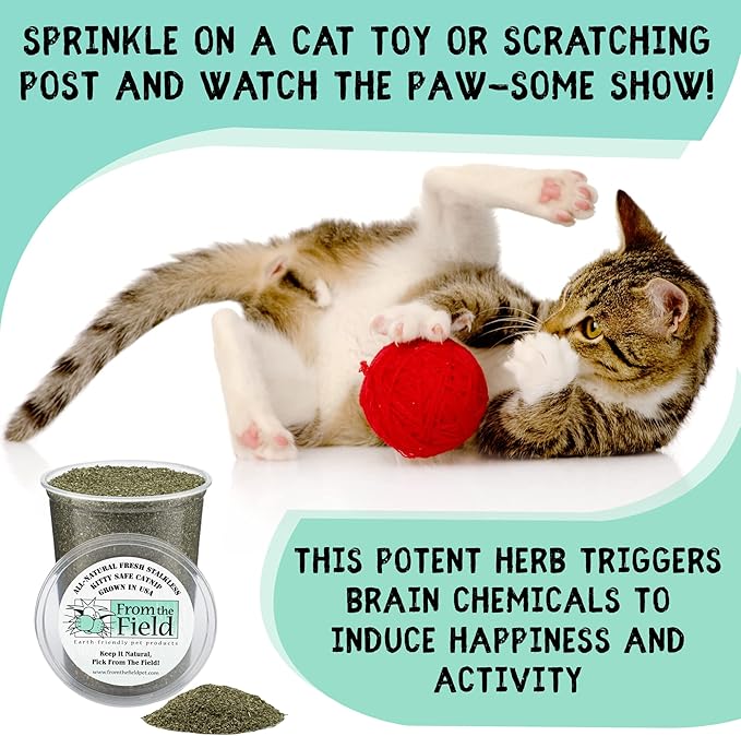 from The Field | Fine Ground Stalkless Catnip | Premium USA-Grown Catnip for Toys & Playtime | Fresh, Potent, Non-Toxic, Eco-Friendly | Safe for Kittens & Cats | Resealable 2 Oz Tub-PurrikoPets