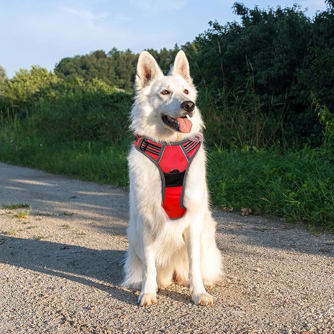 Eagloo Dog Harness Large Breed, No Pull Service Vest with Reflective Strips and Control Handle, Adjustable and Comfortable for Walking, No Choke Pet Harness with 2 Metal Rings, Red, XL-PurrikoPets