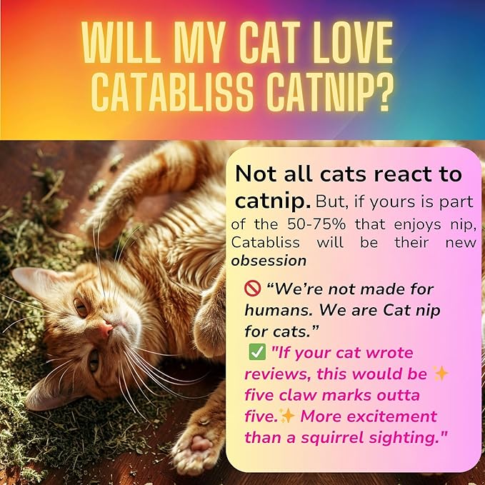 1oz Cat Nip for Cats, Turbo Charging Blend for Refillable Catnip Toys, 100% Essential Natural Cat Weed Treat, Non-Addictive, Enhancing Play for Indoor Cats-PurrikoPets