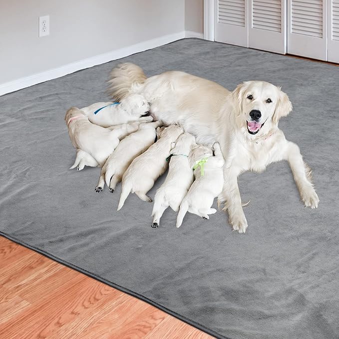 Dog Pee Pad Washable-Extra Large Instant Absorb Training Pads Non-Slip Pet Playpen Mat Waterproof Reusable Floor Mat for Puppy/Senior Dog Whelping Incontinence Housebreaking (31"x36"-(2PACK))-PurrikoPets