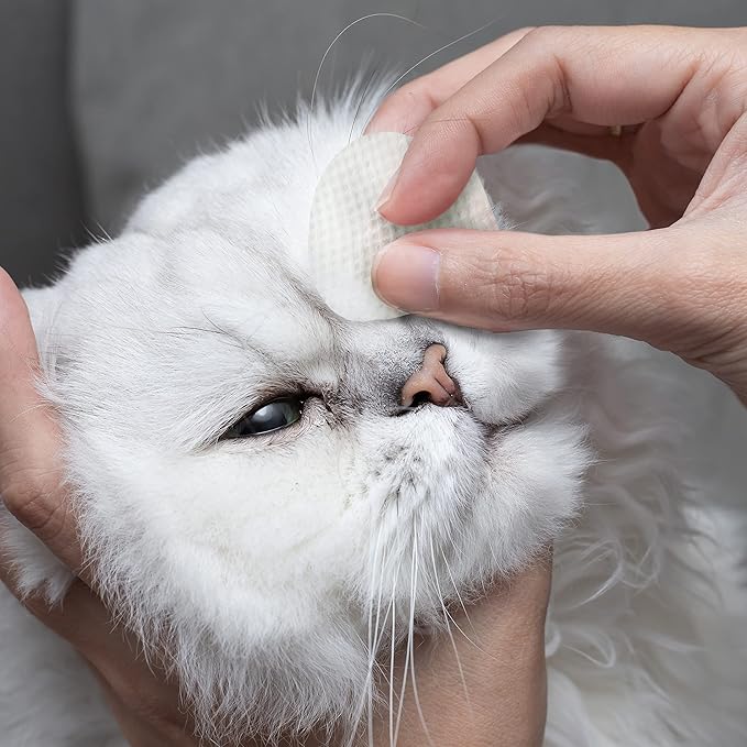 Eye Envy Tear Stain Wipes for Cats. Textured to Gently Clean, Treats The Cause of Staining. 100% Natural Formula. Recommended by Persian & Exotic Breeders, Vets, Groomers. USA Made. 60 Cat Eye Wipes-PurrikoPets
