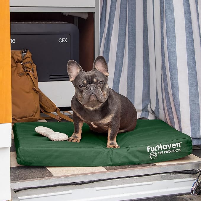 Furhaven Water-Resistant Cooling Gel Dog Bed for Medium/Small Dogs w/ Removable Washable Cover, For Dogs Up to 35 lbs - Indoor/Outdoor Logo Print Oxford Polycanvas Mattress - Forest, Medium-PurrikoPets