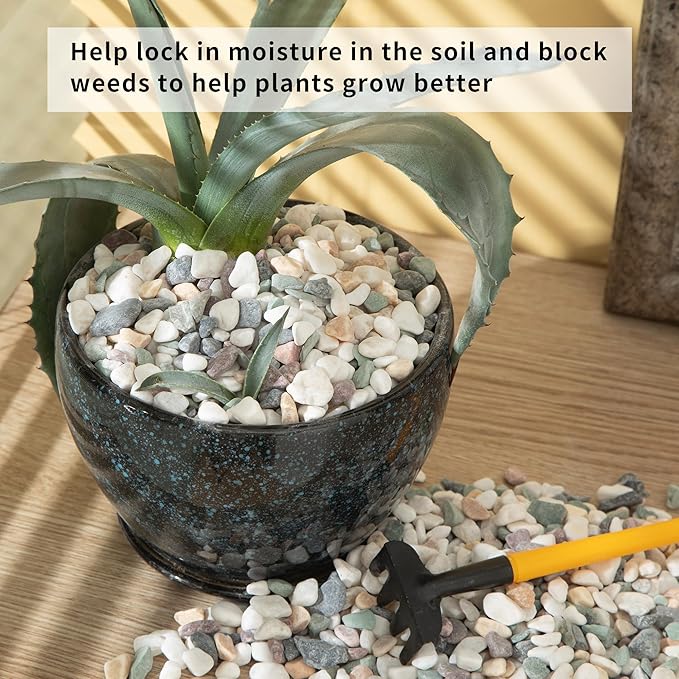5lb Succulent and Cactus Gravel Pebbles 1/5-3/8 Inch Natural Decorative Polished Stones River Rocks for Plants, Vases, Aquariums, Terrarium and Outdoor Gardening, Mixed Color-PurrikoPets