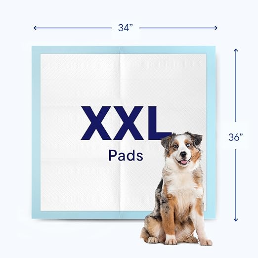 Dog Pads Large Pet Pee Pads for Dogs & Puppy Training 34" x 36" Potty Pads for Dogs [50-COUNT] Leak-Proof Dog and Puppy Pads - Quick-Dry Surface - Heavy Duty Absorbent Disposable Dog Wee Pad Bulk Pack-PurrikoPets