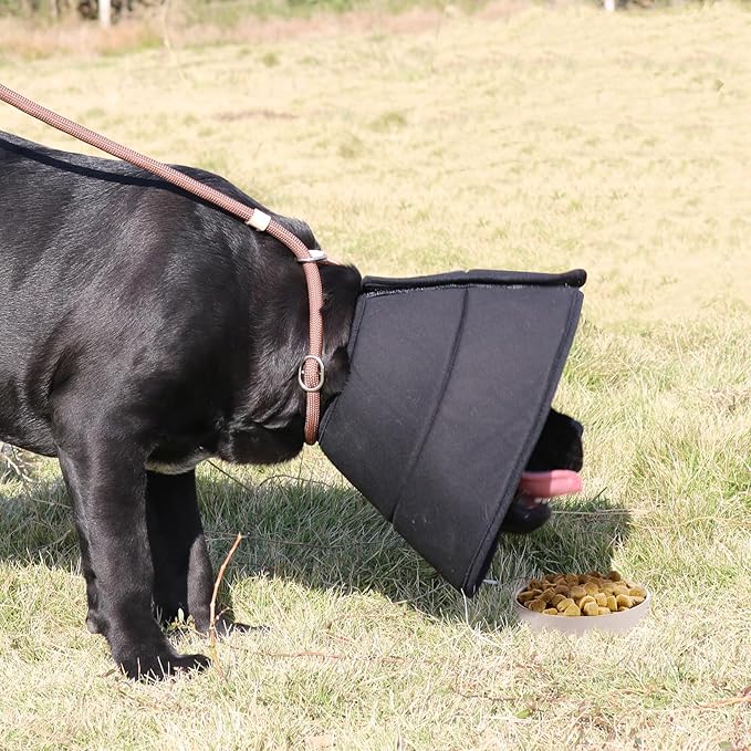 Adjustable Dog Cat Cone,Soft Recovery Cat Cone Collar,Dog Protective Collar for Cats,Puppy and Dogs,Black,Large-PurrikoPets