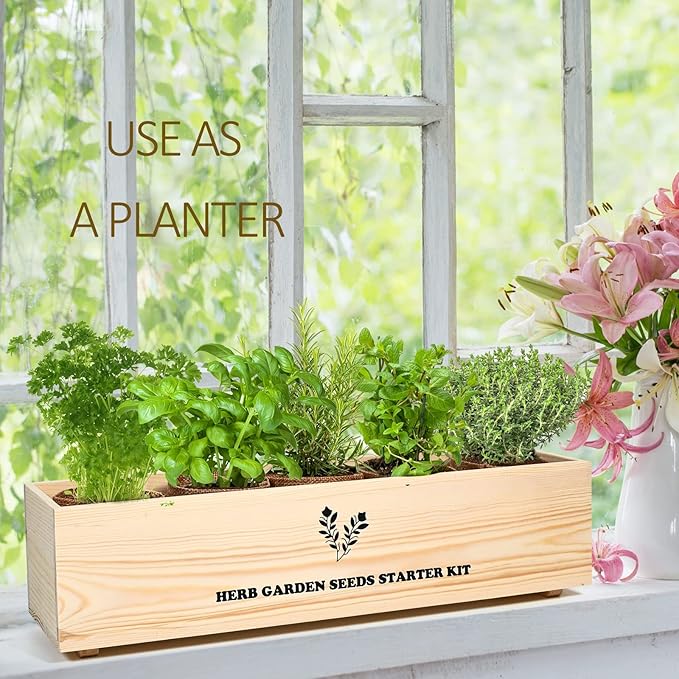 5 Herb Seeds Garden Starter Kit with Complete Planting Kit & Wooden Flower Box, Growing into Basil, Parsley, Rosemary, Thyme, Mint for Kitchen Windowsill Herb Garden DIY-PurrikoPets