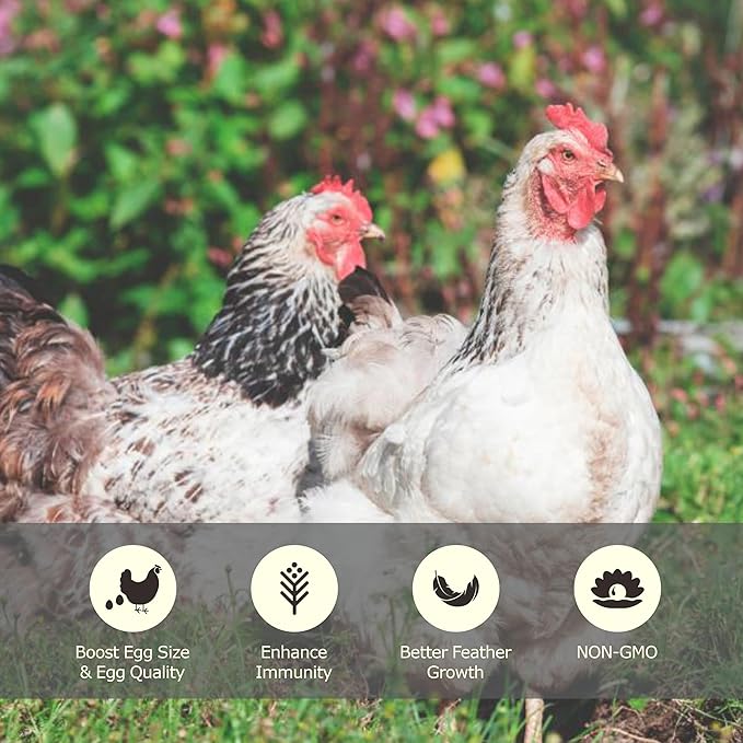 11 LBS Dried Mealworms, Non GMO, High Protein Treat for Chicken, Duck, Birds, Reptile, Hamster,Hedgehog-PurrikoPets