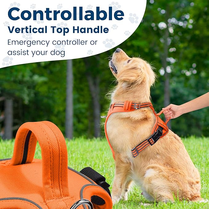Funfox Dog Harness No Pull, Adjustable Pet Vest Harness, Super Soft Material with Vertical Handle Easy Control, Reflective Night Walking, 2 Leash Clips for XLarge Dogs, Orange, XL-PurrikoPets