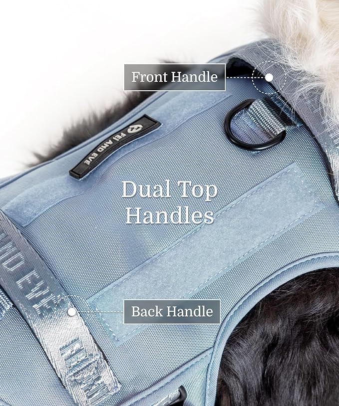 2025 New Edition, Fei & Eve MagEase Dog Harness - 3-Second Magnetic Buckles | 3-Point No-Pull Control | Heavy-Duty 900D Nylon | Dual Safety Handles | Breathable Mesh | Adjustable Fit | Large, Blue-PurrikoPets