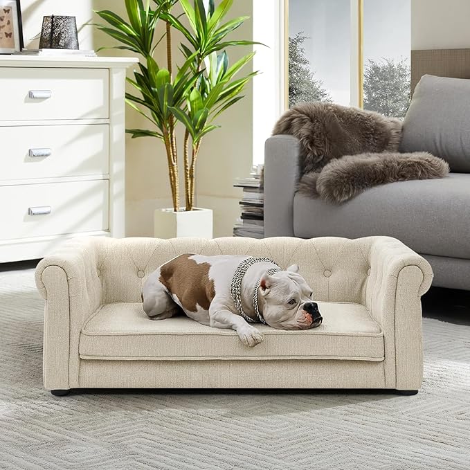 Dog Sofa Couch for Medium to Large Dogs, 31" Memory Foam Dog Couch with Washable Fabric, Removable Cushion, Sofa Bed for Medium and Large Dogs, Beige-PurrikoPets