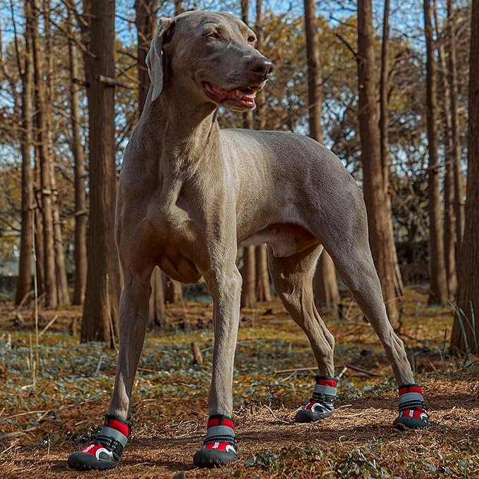 Dog Shoes, Waterproof Dog Boots & Paw Protectors with Anti-Slip Sole, 4pcs/Set Pet Dog Booties, Reflective Dog Shoes for Small Medium Large, Winter Snowy Summer Hot Pavement (Red, 5# (M))-PurrikoPets