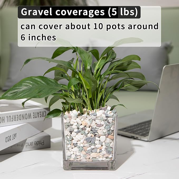 5lb Succulent and Cactus Gravel Pebbles 1/5-3/8 Inch Natural Decorative Polished Stones River Rocks for Plants, Vases, Aquariums, Terrarium and Outdoor Gardening, Mixed Color-PurrikoPets