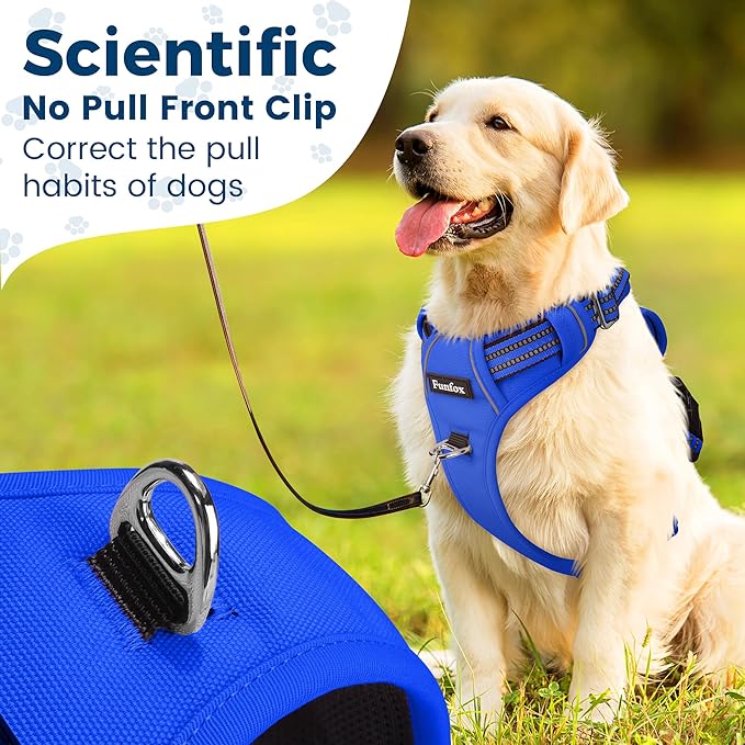 Funfox Dog Harness No Pull, Adjustable Pet Vest Harness, Super Soft Material with Vertical Handle Easy Control, Reflective Night Walking, 2 Leash Clips for Small Sized Dogs, Blue, S-PurrikoPets