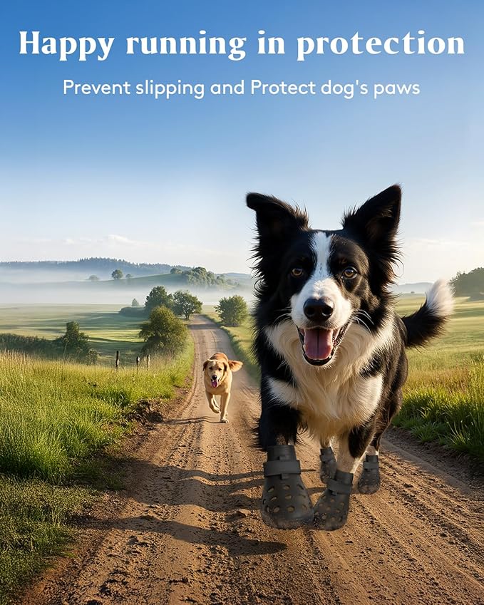 Dog Shoes for Hot Pavement, Breathable Dog Boots Paw Protectors with Adjustable Straps & Non-Slip Sole, Easy On & Off, Waterproof, Easy-Cleaning (Black, M)-PurrikoPets