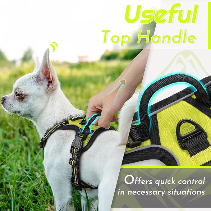 Eagloo Small Dog Harness No Pull, Service Vest with Reflective Strips and Control Handle, Adjustable and Comfortable for Walking, No Choke Pet Harness with 2 Metal Rings, Green, XS-PurrikoPets