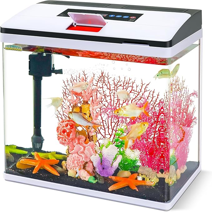 Glass Aquarium Fish Tank Starter Kit with Temperature and Time Display for Betta Fish Featuring Crystal Clear 360° Viewing, Eco-Cycle Filtration, Air Pump 12 Gallon-PurrikoPets
