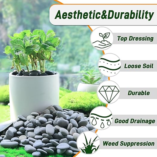 45 LB Mexican Beach Pebbles, 0.4-1 Inch Natural Unpolished Bulk Rocks, Decorative River Rocks for Landscaping Garden Paving Plant, Rocks for Walkways and Outdoor Decorative Stone, Grey-PurrikoPets