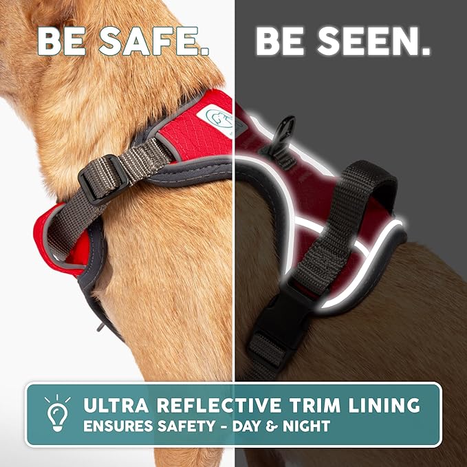 Embark Adventure Dog Harness, Reflective Trim No Pull Dog Harnesses for Small Sized Dogs - Military Grade Nylon, Front Clip with Gel Lined Handle. Soft & Padded Puppy-PurrikoPets