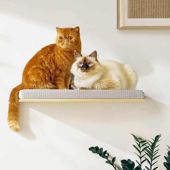 Extra Large 23.6”x12.6” CALLICO HAVEN- Stylish Cat Wall Shelves with Cushion, Modern Wall-Mounted Cat Tree Furniture, Window Cat Shelf & Perch, Sturdy/Hidden Mounts, Washable Cover - Flat Shape-PurrikoPets