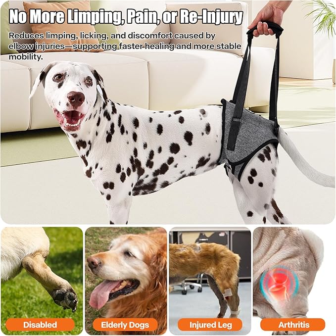 Dog Sling for Medium Large Dog Rear Leg, Lift Harness Provide Support with Muscle Atrophy and Joint Problems for Elderly Injured Arthritic Pet, Dog Weak Rear Legs Provides Rehabilitation Aid-PurrikoPets