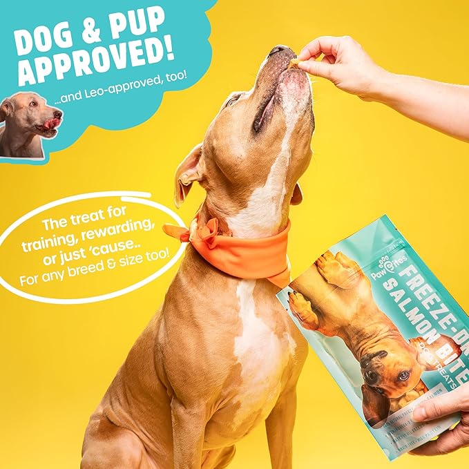 Freeze Dried Dog Treats - Wild Caught Salmon - Dog Food Dry Snacks - with Protein & Omega 3s - for All Breeds & Sizes - No Artificial Flavors & Dyes, No Preservatives - 1 Pouch, 4 oz-PurrikoPets
