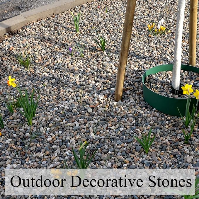 20lbs Natural Fish Tank Gravel,1/4 Inch Pea Gravel. Mixed Color River Rocks for Aquarium, Succulent, Vase, Cactus Bonsai, Plant Soil Cover and Outdoor Landscaping Rocks-PurrikoPets