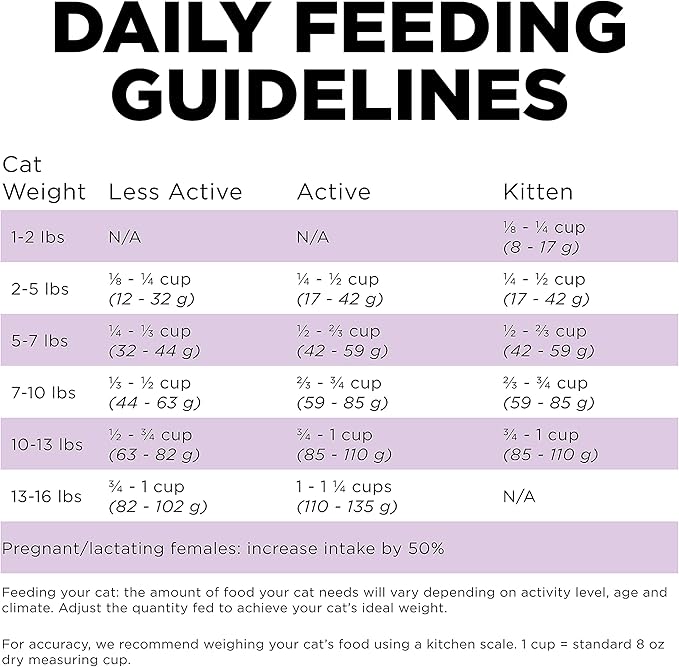 Go! Solutions Carnivore, Grain-Free, Protein Rich Dry Cat Food, Chicken, Turkey and Duck Recipe, 8 lb Bag-PurrikoPets