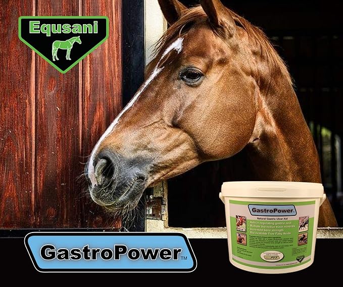 GastroPower Digestible Free Fatty Acid Feed Concentrate for Horses-PurrikoPets