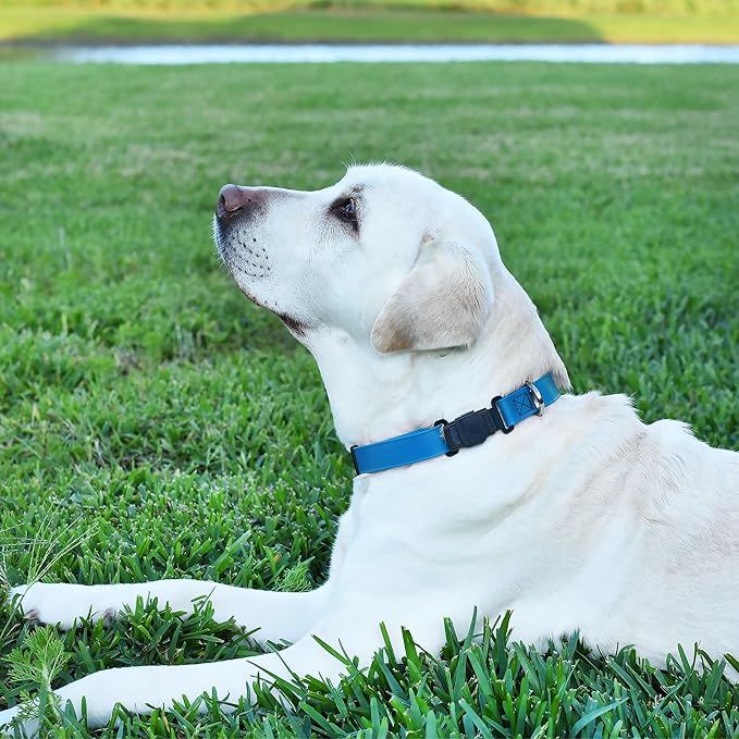 Dogline Biothane Waterproof Dog Collar with Herm Sprenger Stainless Steel Quick Release Buckle – Heavy Duty Tactical Durable Collar for Dogs – Comfortable and Safe Pet Collar, W 1" L 15-25", Blue-PurrikoPets