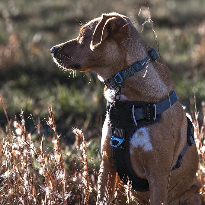 Embark Adventure Dog Harness, Reflective Trim No Pull Dog Harness Medium Sized - Military Grade Nylon, Front Clip with Gel Lined Handle. Soft & Padded Puppy Harnesses for Any Breed-PurrikoPets