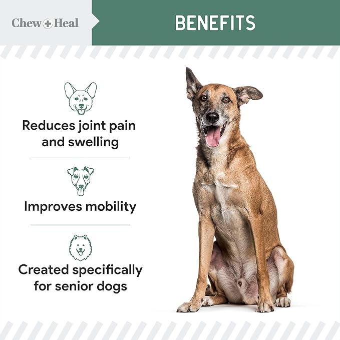 Glucosamine for Dogs Hip and Joint Supplement - 120 Senior Dogs Mobility Soft Chews - Made with Glucosamine, MSM, Chondroitin, Green Lipped Mussels and More - Made in The USA-PurrikoPets