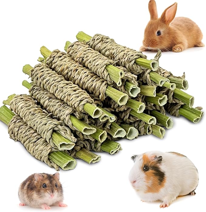 Fhiny 24 PCS Rabbit Chew Sticks, Natural Papaya Wood Seagrass Guinea Pig Chew Toys for Teeth Small Animal Molar Sticks Snacks for Bunny Guinea Pig Chinchilla Ferret Hamster Gerbil Dental Care-PurrikoPets