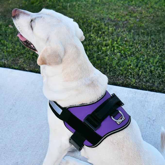 Dogline Dog Harness, Reflective No-Pull Adjustable Vest with Handle for Walking, Training, Breathable, No - Choke Harness for Small, Medium or Large Dogs Room for Patches Girth 15 to 18 in Purple-PurrikoPets