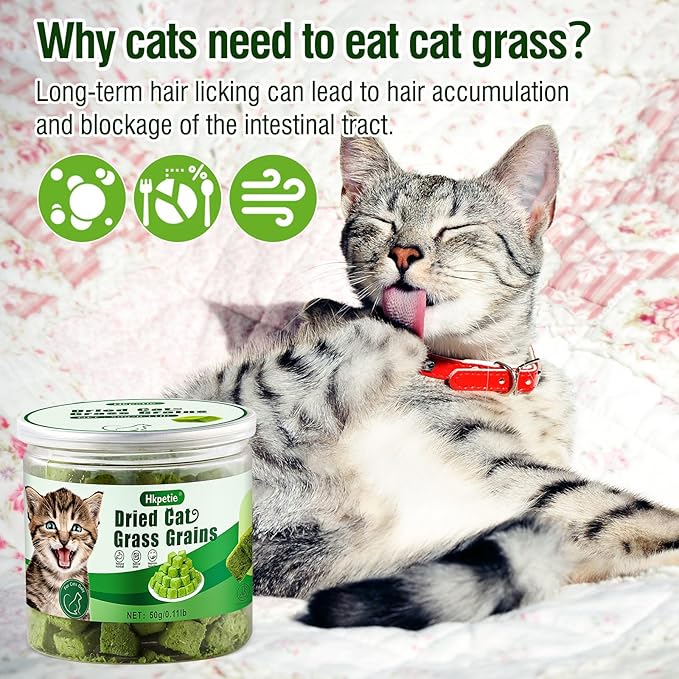 50g Cat Grass Teething Treat, Delicious Cat Grass Teething Snack Edible Cats Chew Toy for Teeth Cleaning and Hairball Removal-PurrikoPets