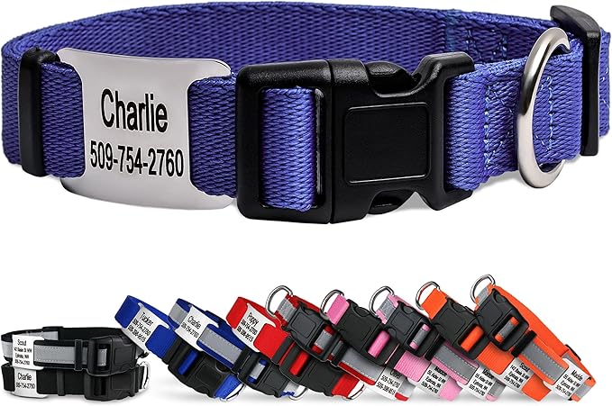 GoTags Personalized Dog Collar with Nameplate, Adjustable Dog Collar with Custom Engraved Slide On Pet ID Tag in Stainless Steel, Silent, No Noise Dog Tag (Lavender, X-Small)-PurrikoPets