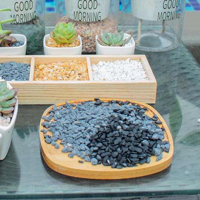 3lb Black Cactus Pea Gravel Rocks,1/4 Inch Pebbles for Indoor Plants, Natural Succulent Rock and River Rocks Decorative for Aquariums, Vases, Outdoor Gardening, Top Dressing for Potted Plants-PurrikoPets
