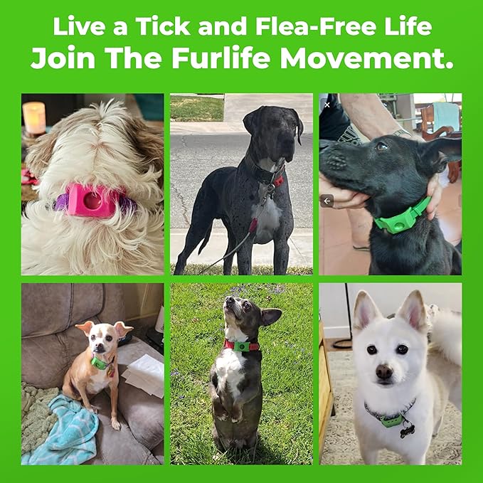 FurLife Green Dog Tag, Flea and Tick Prevention for Dogs - Waterproof Pendant for Collar, Safe for All Breeds-PurrikoPets