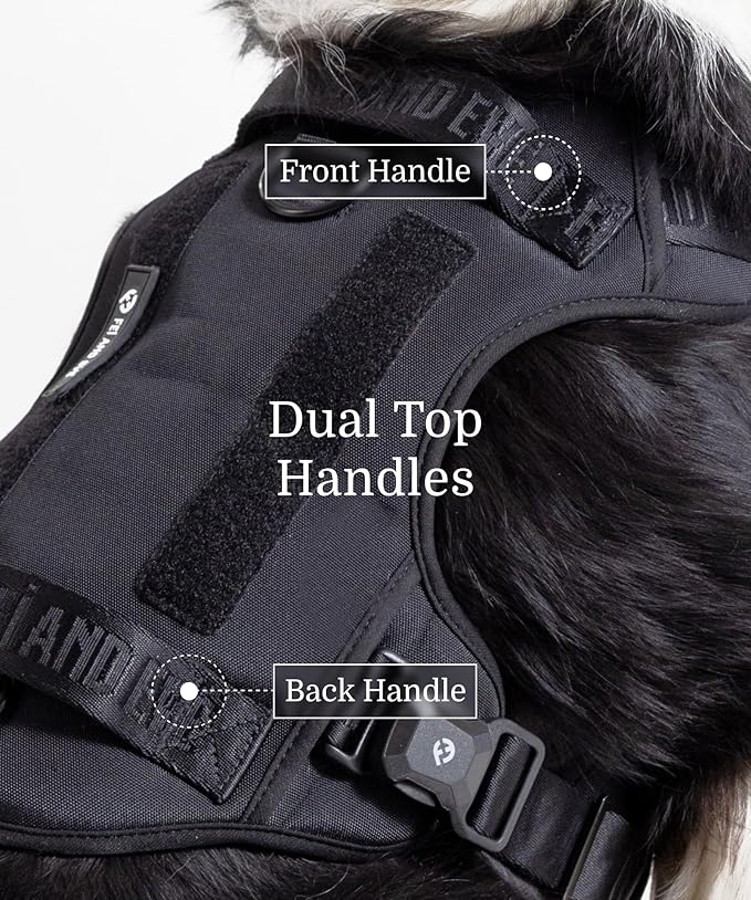 2025 New Edition, Fei & Eve MagEase Dog Harness - 3-Second Magnetic Buckles | 3-Point No-Pull Control | Heavy-Duty 900D Nylon | Dual Safety Handles | Breathable Mesh | Adjustable Fit | X-Large,Black-PurrikoPets