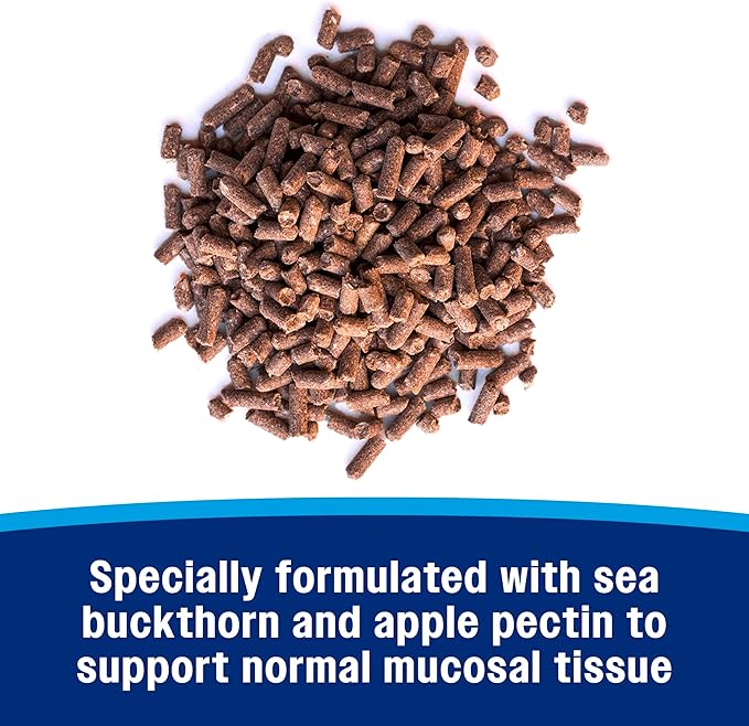 Farnam Gastric Health Pellets, Daily Gut and Digestive Health Supplement for Horses Helps Maintain a Healthy Gastrointestinal Tract and Gut Function-PurrikoPets