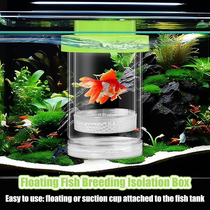 2 Pcs Breeder Box for Fish Tank Aquarium Breeder Separation Net Breeding Box with Suction Cup for Small Fish Shrimp Clownfish Guppy(Green,M)-PurrikoPets