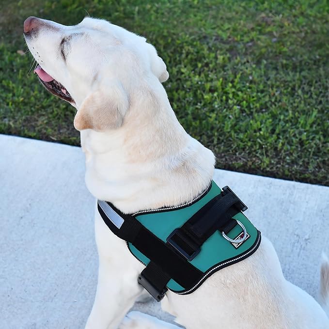 Dogline Dog Harness, Reflective No-Pull Adjustable Vest with Handle for Walking, Training, Breathable, No - Choke Harness for Small, Medium or Large Dogs Room for Patches Girth 15 to 18 in Turquoise-PurrikoPets