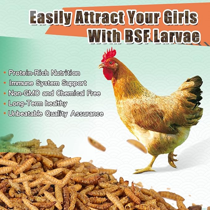 Dried Black Soldier Fly Larvae 10LBS, 85X More Calcium Than Mealworms High-Protein BSF Larvae Chicken Treats Non-GMO BSFL for Chickens, Hens, Ducks, Wild Birds-PurrikoPets