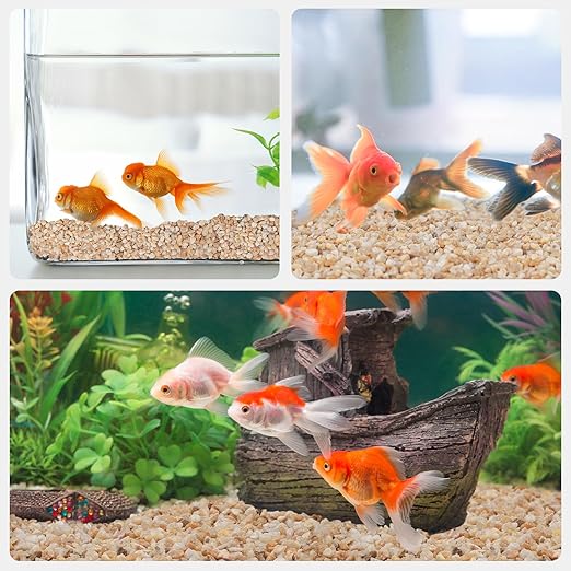 5 lbs Coarse Silica Sand for Indoor Plants, 1/5 Inch Natural Decorative Gravel for Vases, Aquariums, Terrarium, Fish Tank, Drainage Rocks for Potted Plants, Bamboo, Succulent, Crafts, Cactus-PurrikoPets