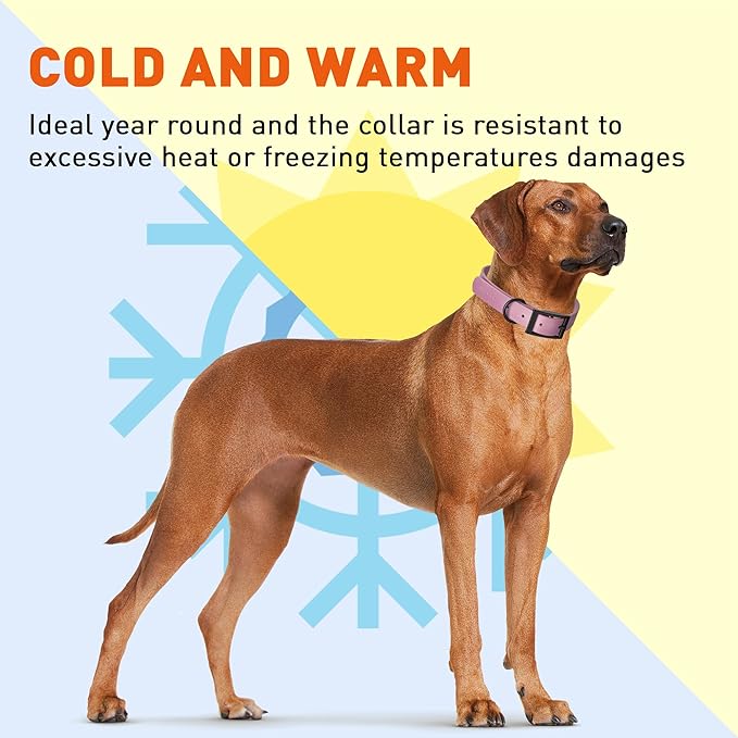 Dogline Biothane Waterproof Dog Collar Strong Coated Nylon Webbing with Black Hardware Odor- Proof for Easy Care Easy to Clean High Performance Fits Small Medium or Large Dogs, Pastel Purple-PurrikoPets